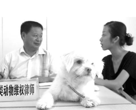 全国律师咨询日