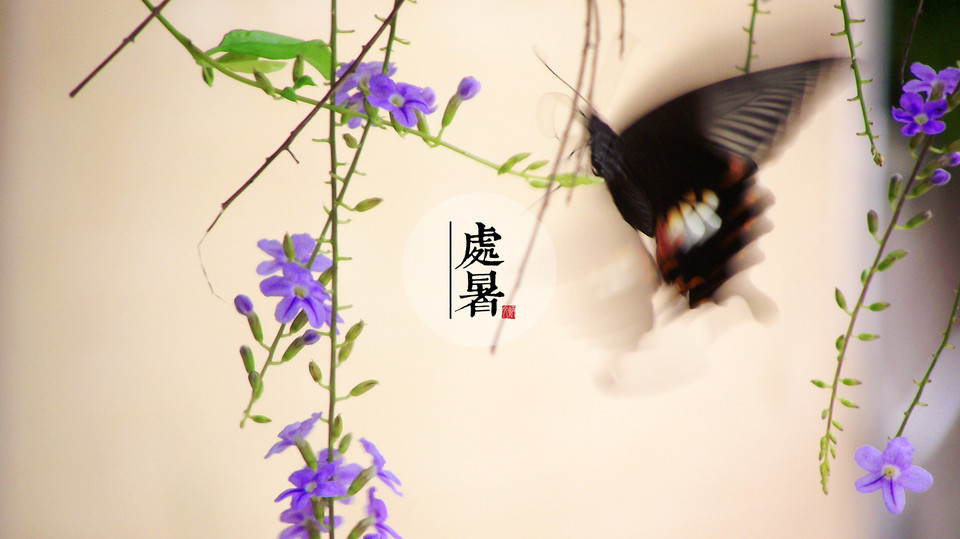 处暑