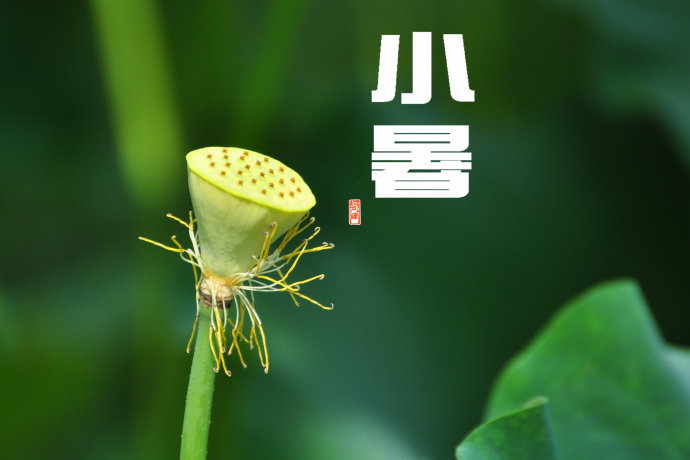 小暑